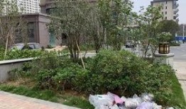 浏河银河湾小区最新爆料,揭秘神秘项目与周边发展动态